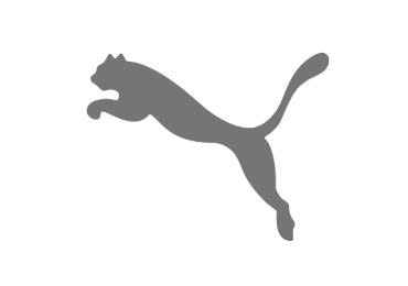 puma puma